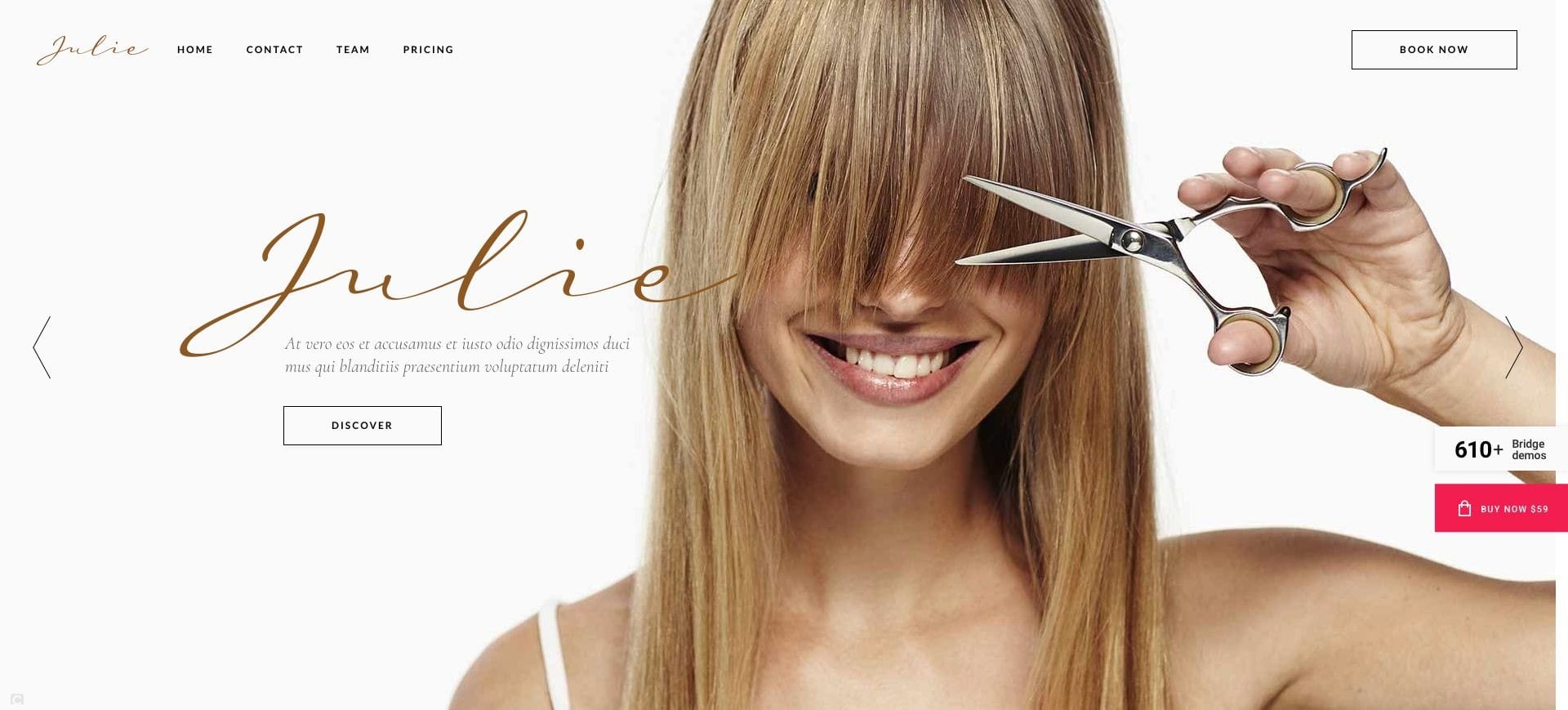 Avis Bridge Theme : un thème WordPress polyvalent et créatif