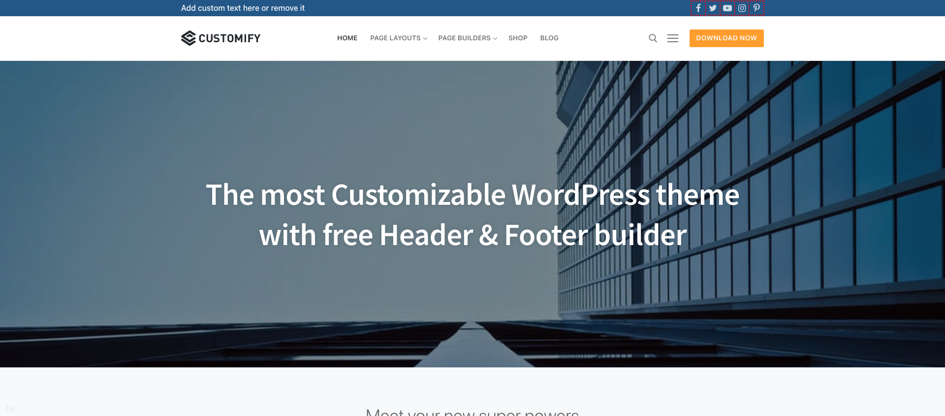 Theme wordpress customify