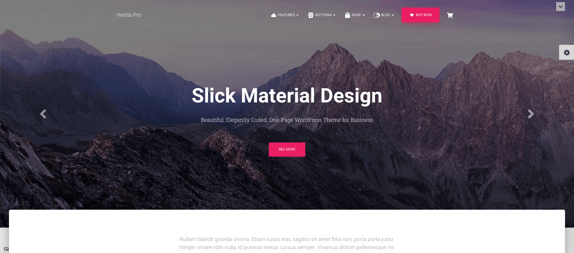 Theme Hestia WordPress