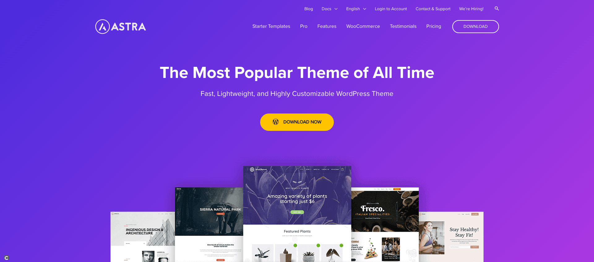 Theme wordpress wp astra